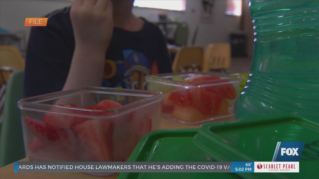 Healthy Tips For Kids During The Holiday Break