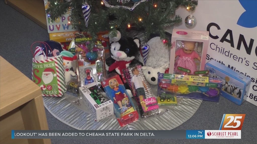 Canopy Children’s Solutions Holding Gift Drive To Spread Joy To Local Children