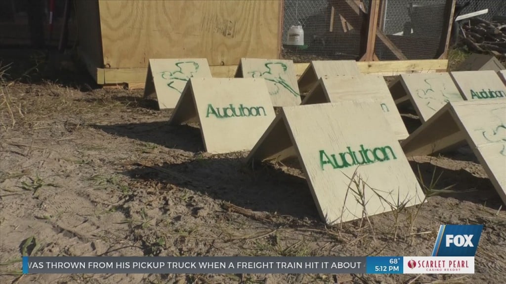 Nesting Shelters Built By Gulfport High Students Presented To Audubon Mississippi