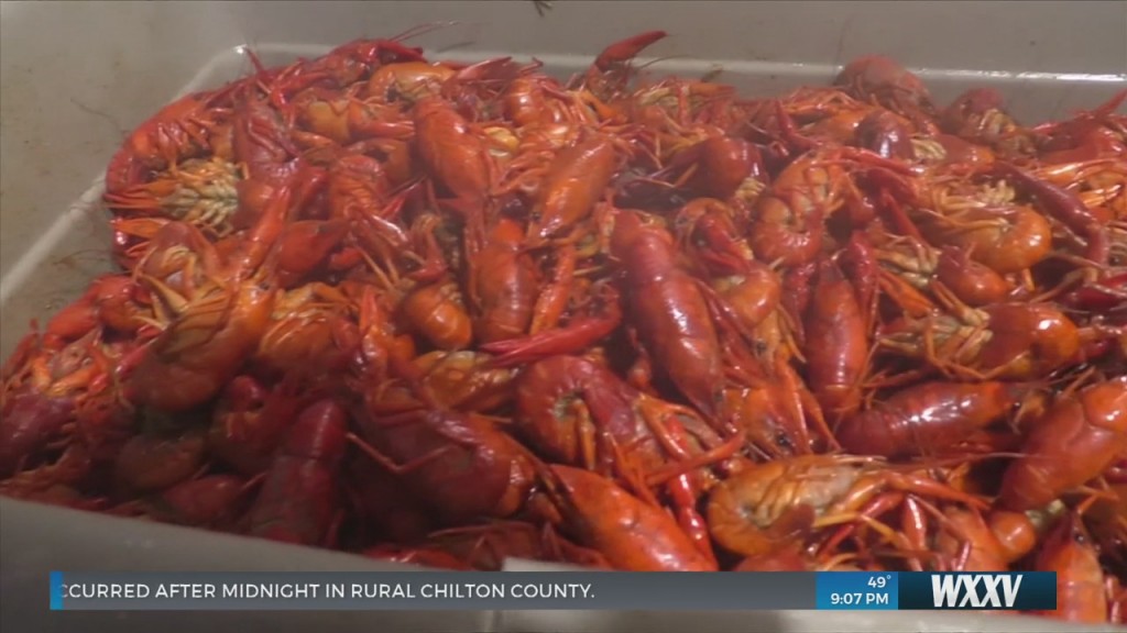 Seafood Sales Skyrocket During The Holiday Season