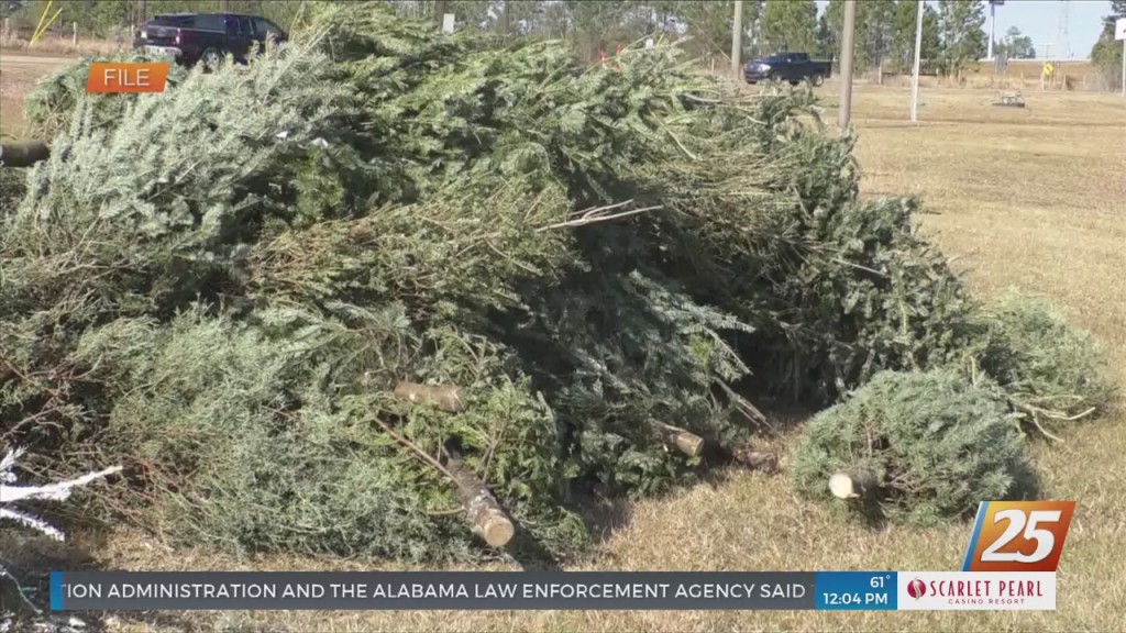 Christmas Tree Recycling Sites Announced In Harrison County