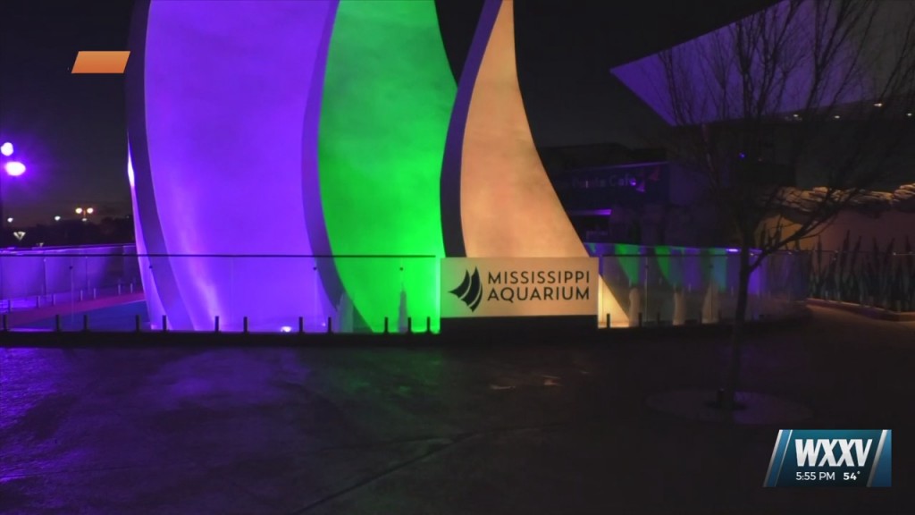 Mississippi Aquarium Lighting The Sails To Celebrate Mardi Gras Grace