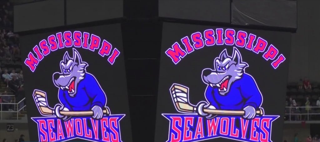 Mississippi Coast Coliseum Commission Votes ‘yes’ On Seawolves Return