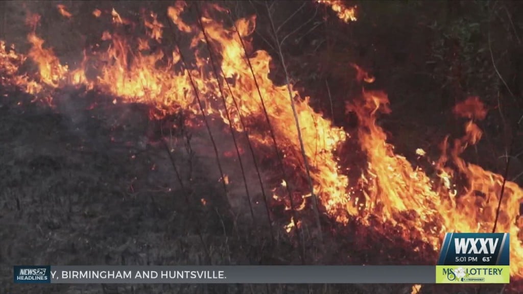 Harrison County Forest Fires Being Investigated