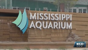 Mississippi Aquarium