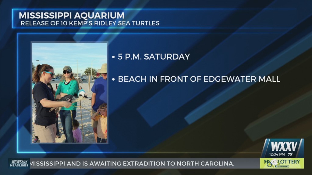 Mississippi Aquarium Releasing 10 Kemp’s Ridley Sea Turtles Saturday