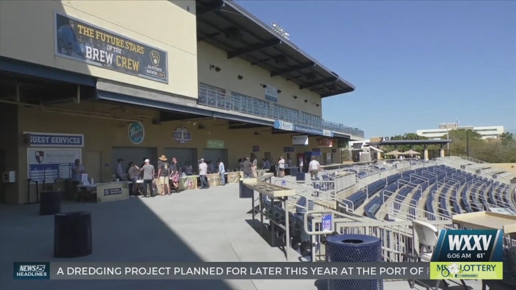 Craft Beer Fest Took Over Mgm Park On Saturday