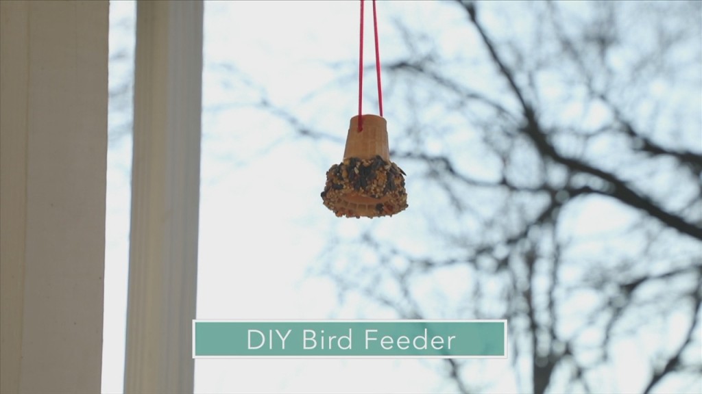 Mom To Mom: Diy Bird Feeder