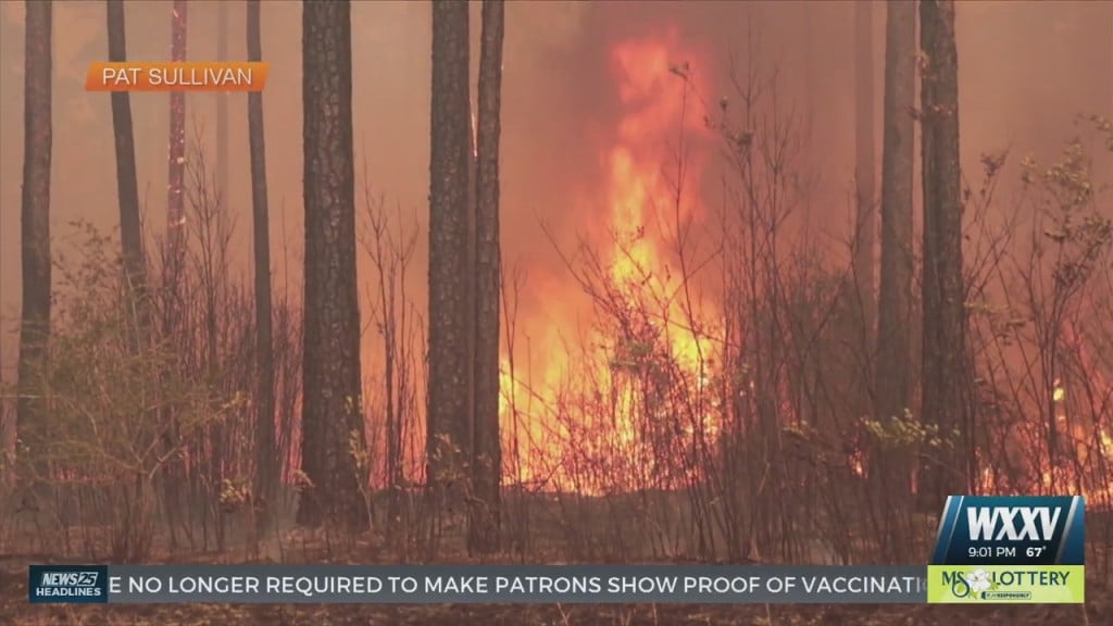 Fire Around Biloxi Road And Wilson Road In Jackson County Spread To 1,040 Acres