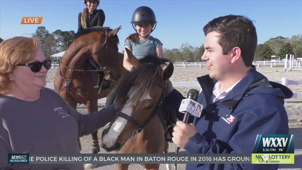 Final Weekend For Gulf Coast Winter Classics