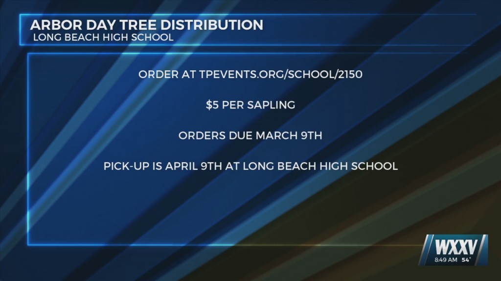 Long Beach Hs Environmental Protection Interest Club Holding Arbor Day Tree Distribution