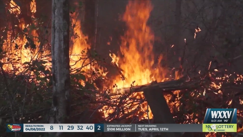 Hundreds Of Acres Burned In Woods Fire In Ocean Springs