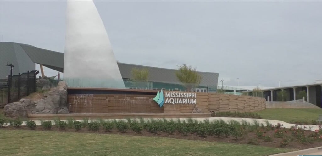Ms Aquarium Sued By Former Employee Claiming Wrongful Termination