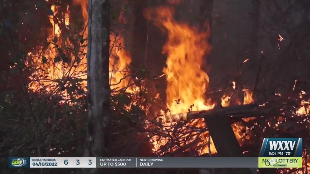 Woods Still Smoldering From Saturday Fire In Ocean Springs