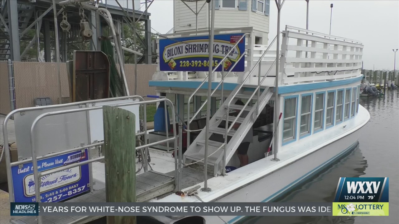 biloxi shrimp tour train