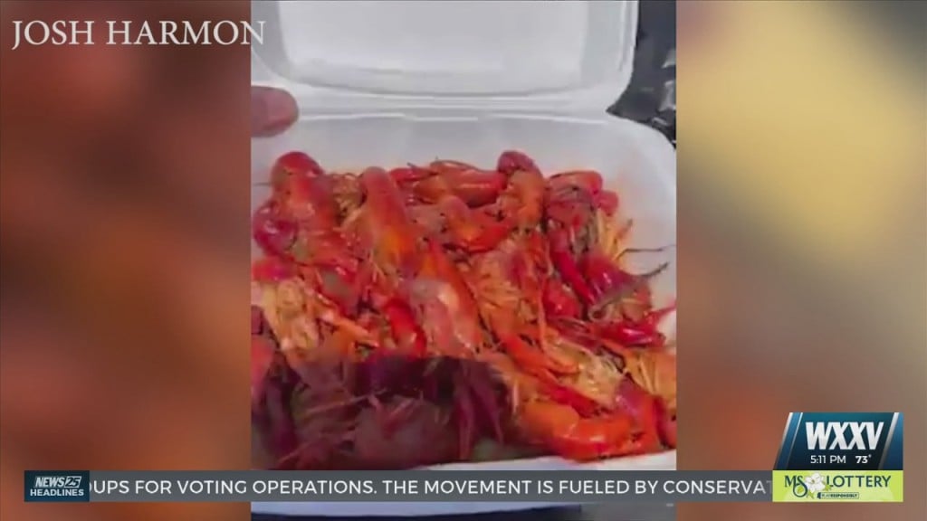 Ocean Springs Residents Reviewing Local Restaurants To Find Best Crawfish