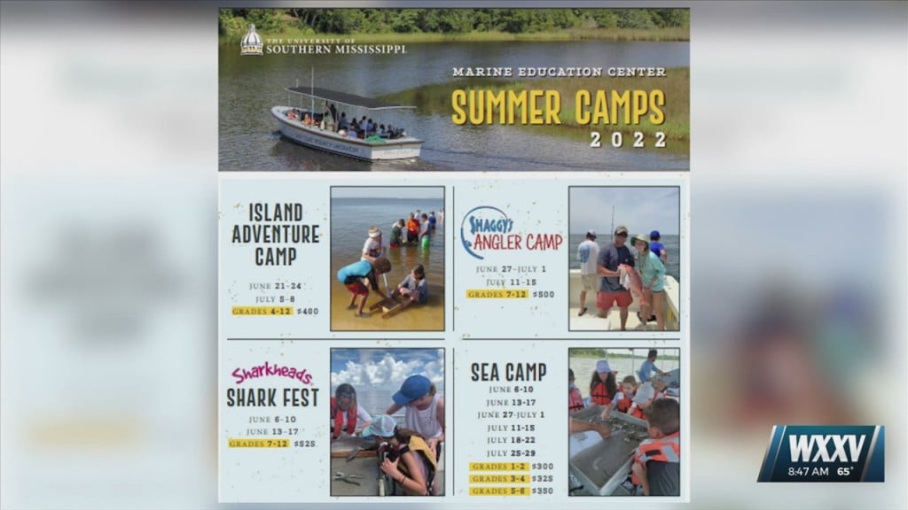 Registration Open For Usm Marine Education Summer Camps