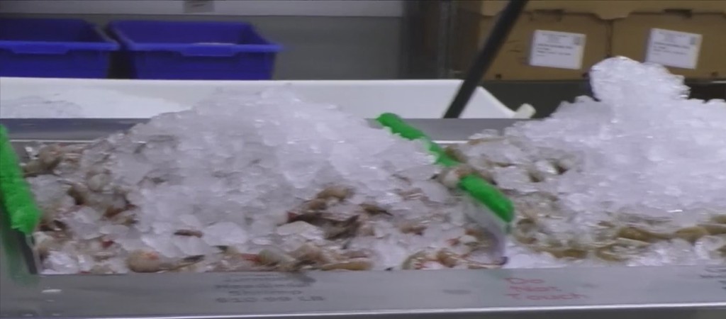 Consumers Can Expect Higher Shrimp Prices This Year