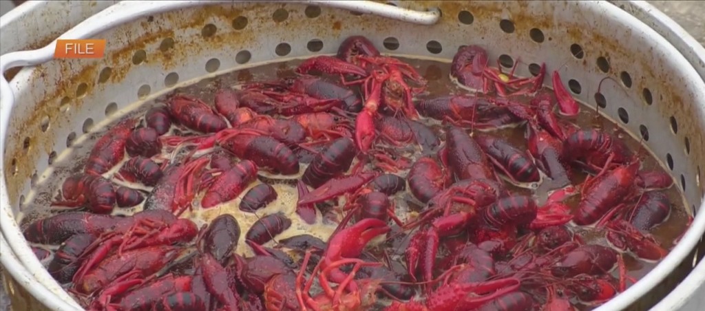Downtown Ocean Springs Crawfish Cook Off Returns To The Coast This Weekend