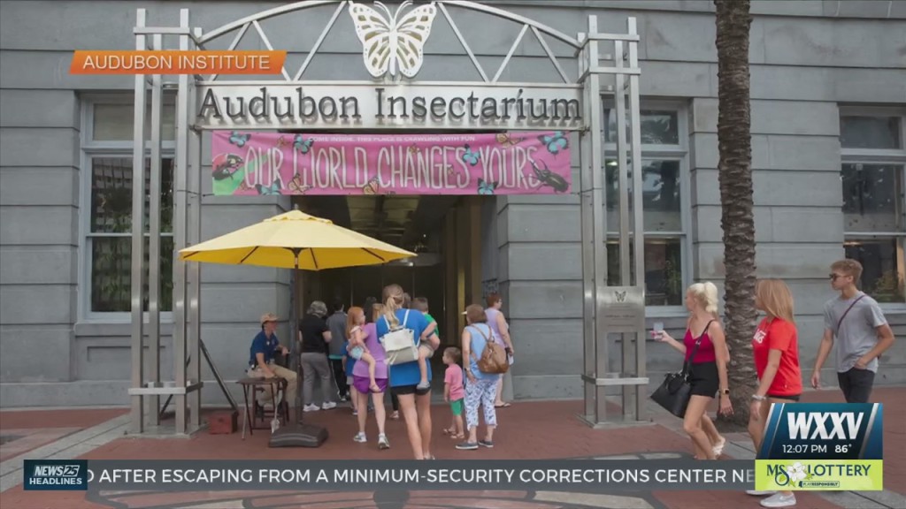 Butterfly, Insect Exhibits At Audubon Aquarium Moving To Riverfront Campus