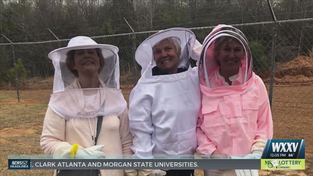 Meet The Southern Sisters: Group Of Women Bonded By Beekeeping