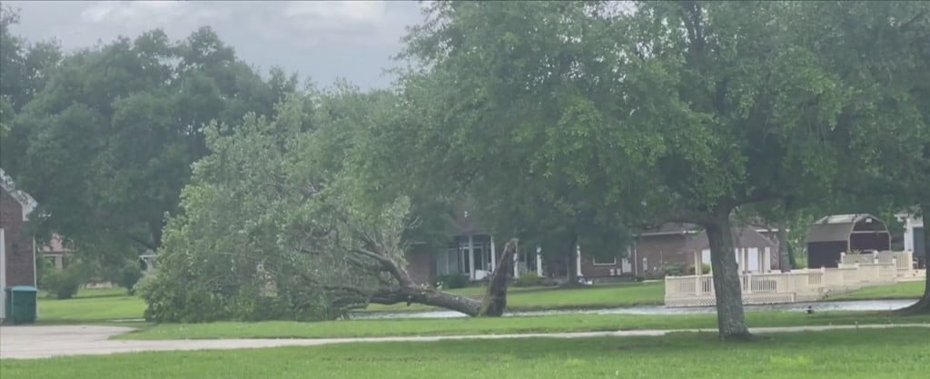 Early Morning Storms Cause Debris And Downed Trees In Gulfport