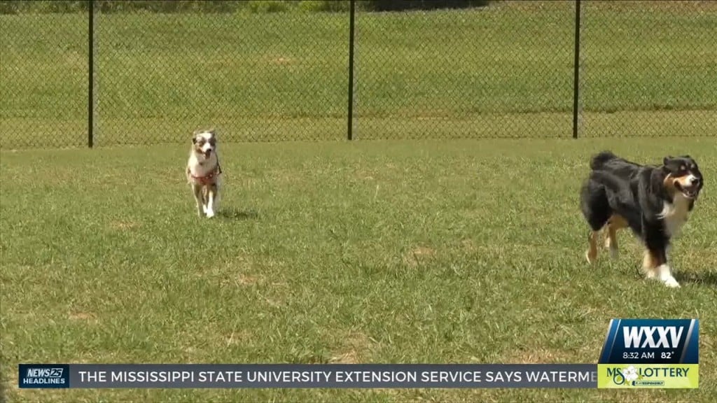 Grand Opening For Harrison County Dog Park