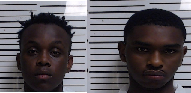 Gpt Homicide
