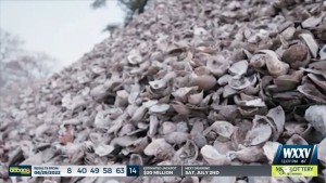 New Program Supports Oyster Industry