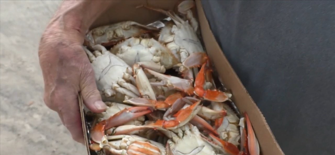 Our Lady of the Gulf Crab Fest set for this weekend