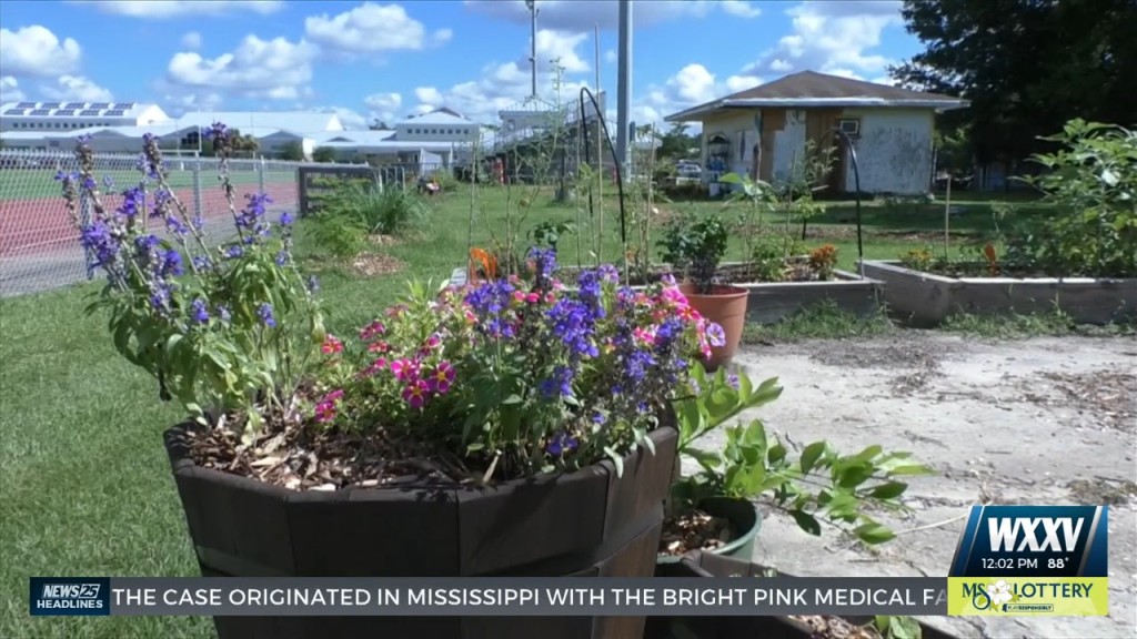 New Community Garden Blossoms At Salvation Army Kroc Center