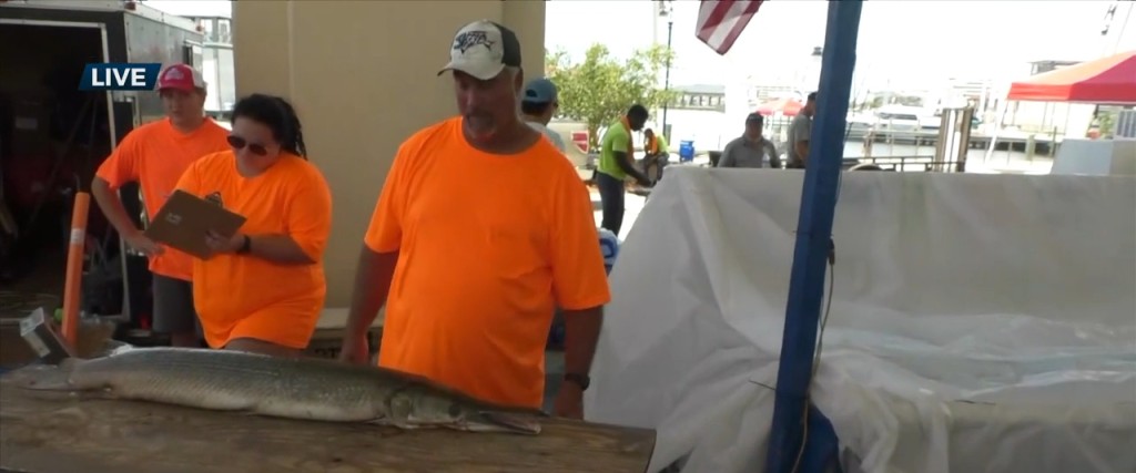 Deep Sea Fishing Rodeo Returns To The Gulf Coast