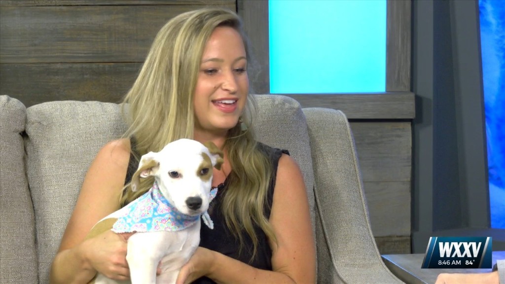 Pet Of The Week 71922