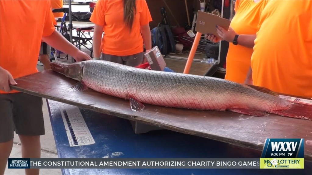 Day One Of The Ms Deep Sea Fishing Rodeo Wraps Up