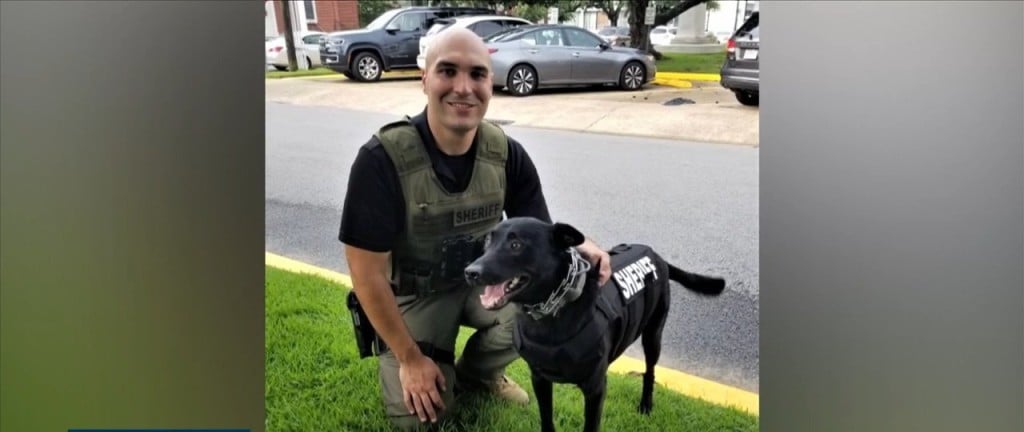 Jackson County Sheriff’s Department Gets New K9 Vests
