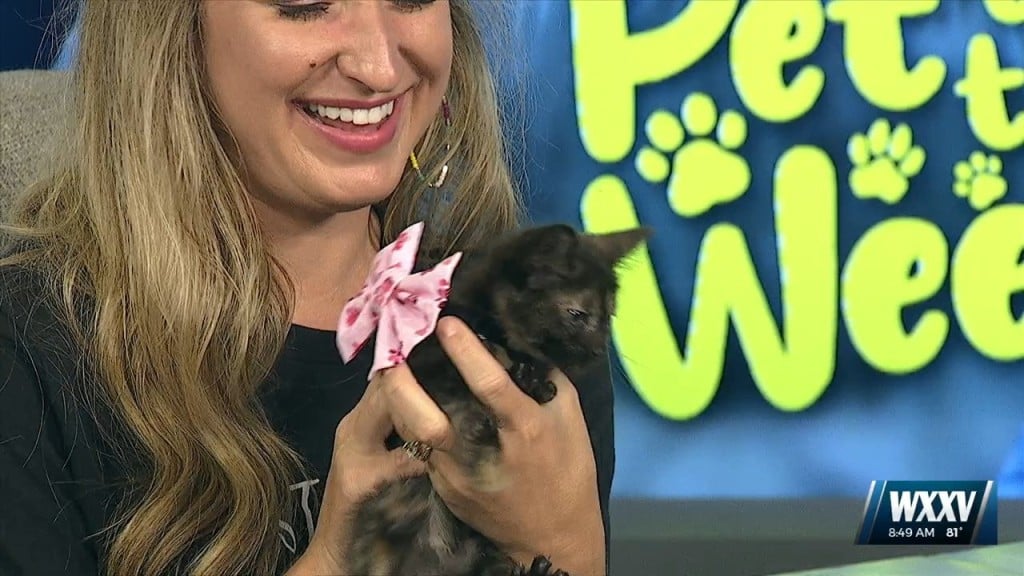 Pet Of The Week