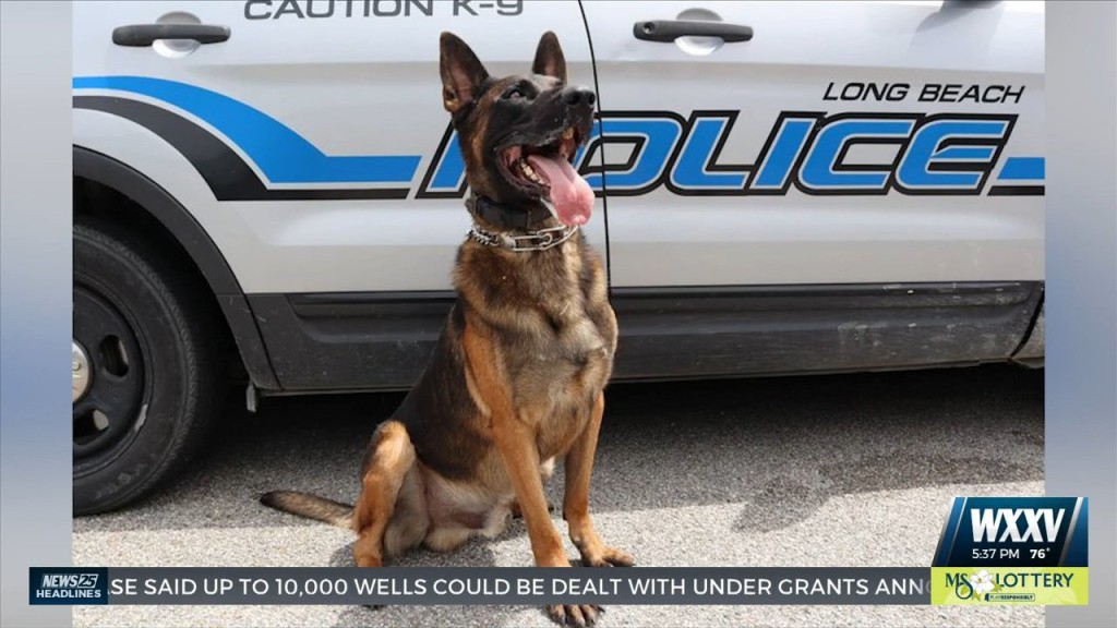 Long Beach Police K9 Jack Receiving Donation Of Body Armor
