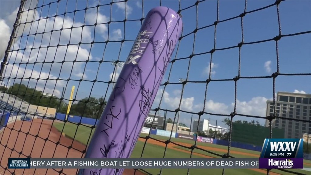 Biloxi Shuckers And American Cancer Society Team Up For Hope At Bat Campaign