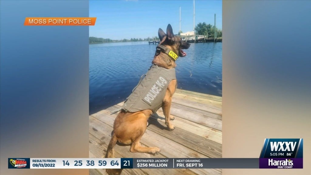 Moss Point K9 Officer Buddy Receives Protective Vest