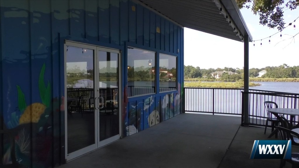 Allen Toyota Owner Purchases Blow Fly Inn