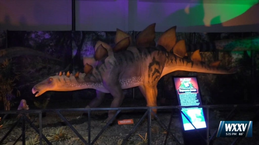 Dino