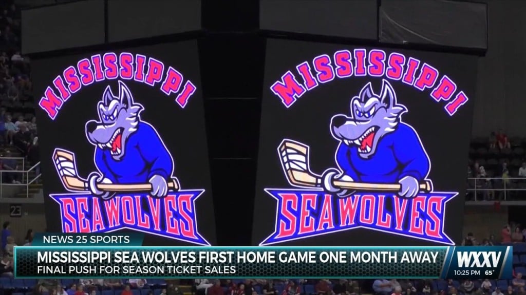 Ms Sea Wolves