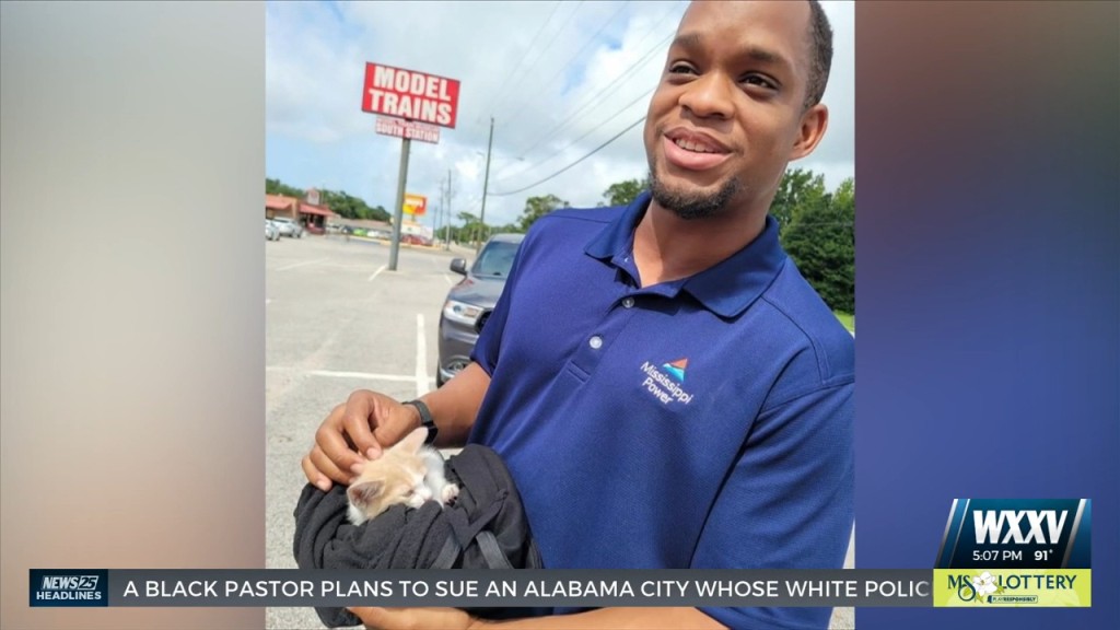 Mississippi Power Employee Rescues Cat From Under Car