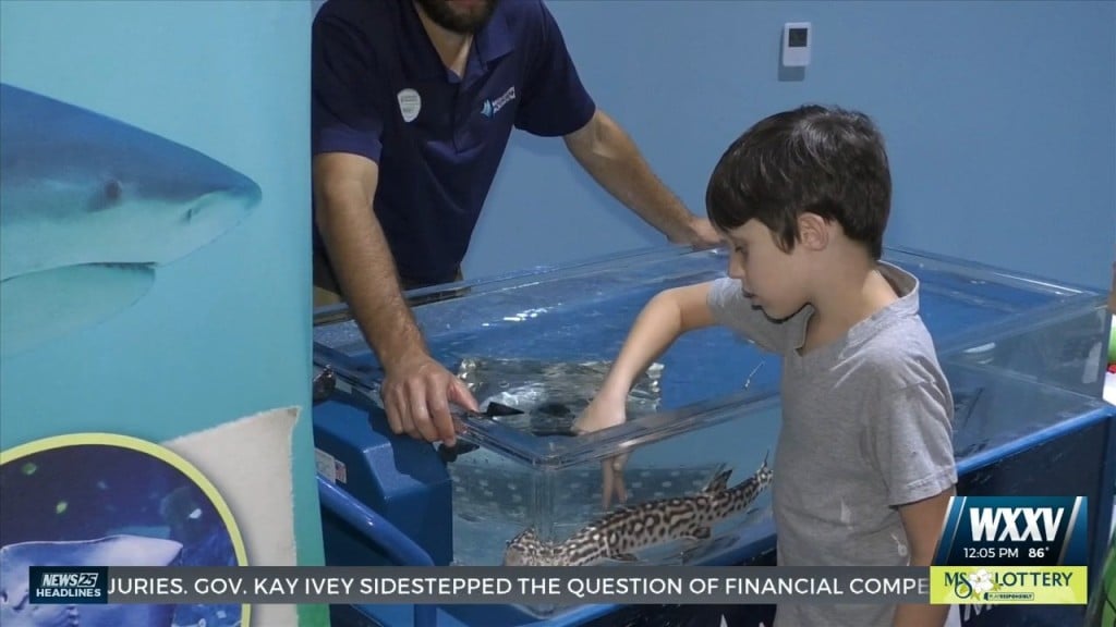 Mississippi Aquarium Hosts 100 Students For Homeschool Days