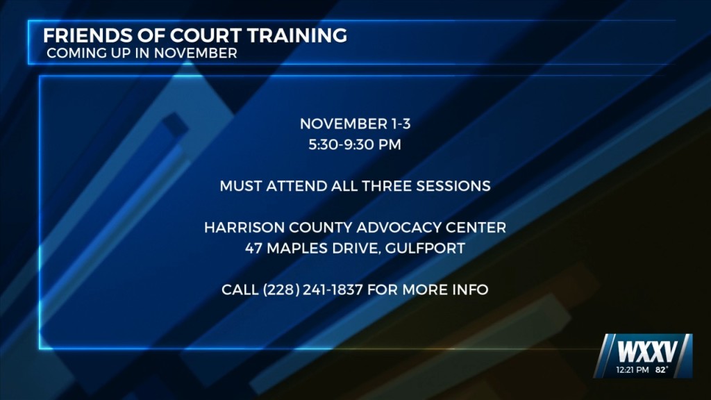 ‘friends Of Court’ Training Coming Up In November