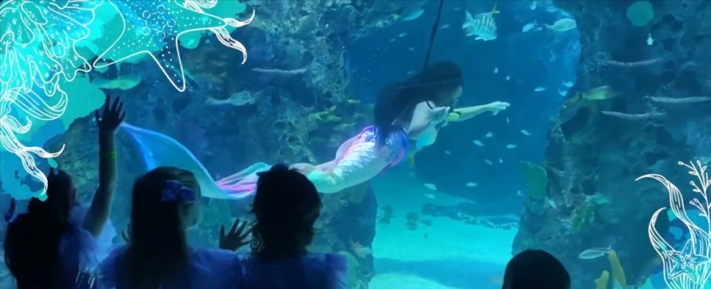 Mermaids And Pirates Returns To Mississippi Aquarium