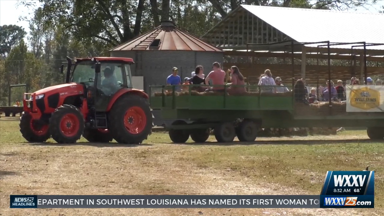 Fall fun at the Williams Family Farm in Wiggins - WXXV News 25