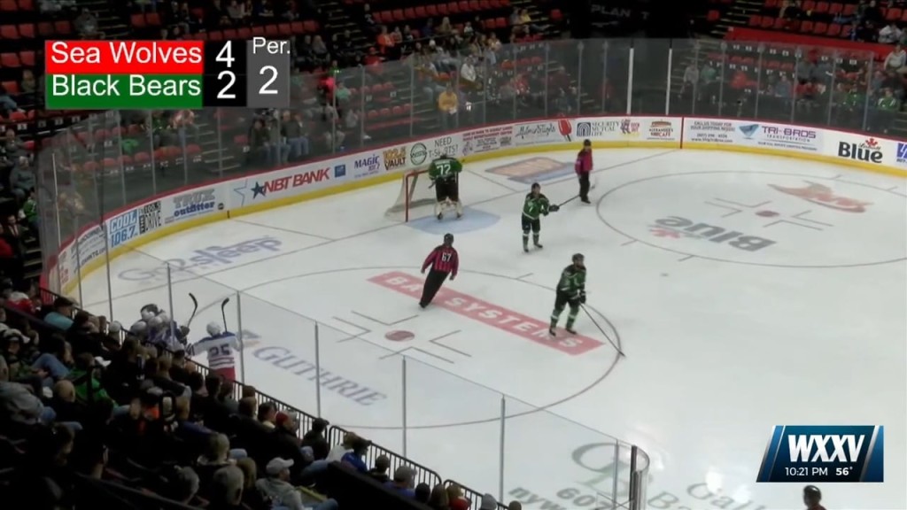 Child hit with hockey puck during MS Sea Wolves game in Biloxi