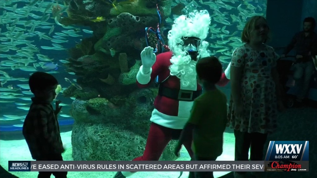 Mississippi Aquarium Kicked Off Holiday Specials