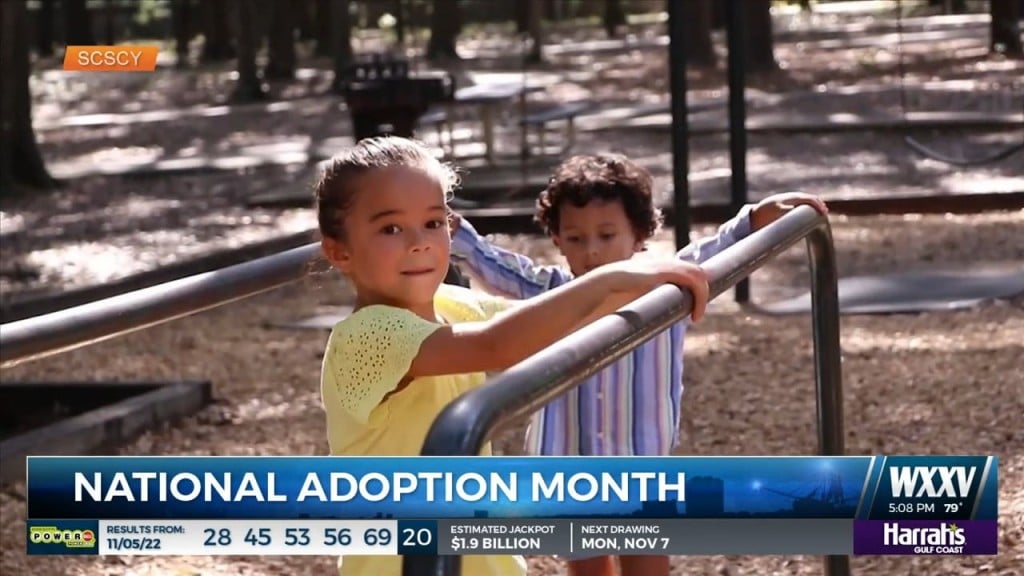 November Is National Adoption Month